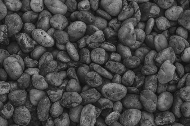 istock Texture abstract background round stones. Black and white photo. 970699990