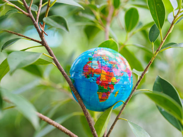istock The globe on the tree bokeh and background. Save environment, Save the earth concept. 970715046