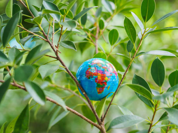istock The globe on the tree bokeh and background. Save environment, Save the earth concept. 970715182