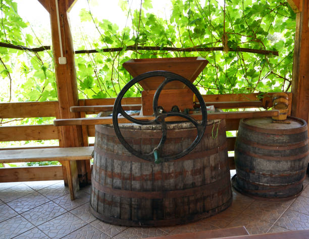 istock wooden barrels for wine 970715340
