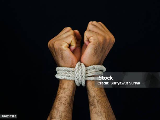 Man Hands Were Tied With A Rope Violence Terrified Human Rights Day Concept Stock Photo - Download Image Now