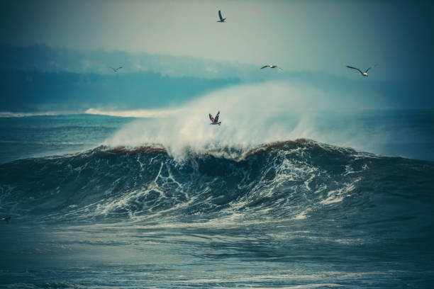 Huge waves in the deep sea water after sunset.
