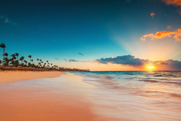 istock Tropical beach in Punta Cana, Dominican Republic 970730302