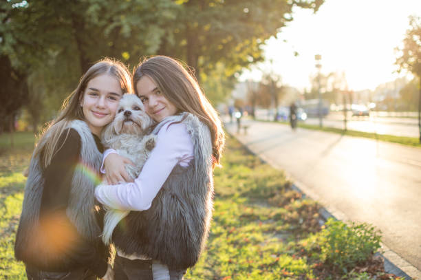 Two girls, twins, are having new family member. It's small, white maltese dog. They are walking on a sunset.
