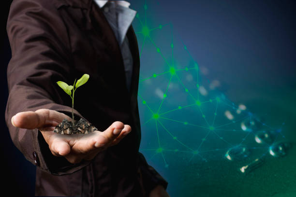istock Tree in the hand of a businessman. 970743582