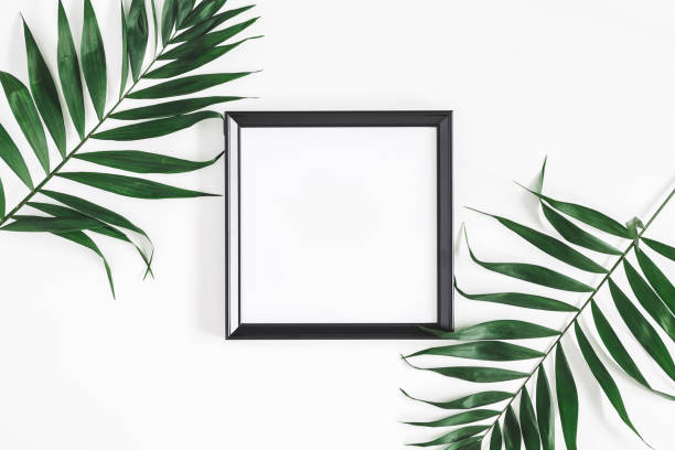 istock Tropical palm leaves, photo frame, on white background. Flat lay 970745432