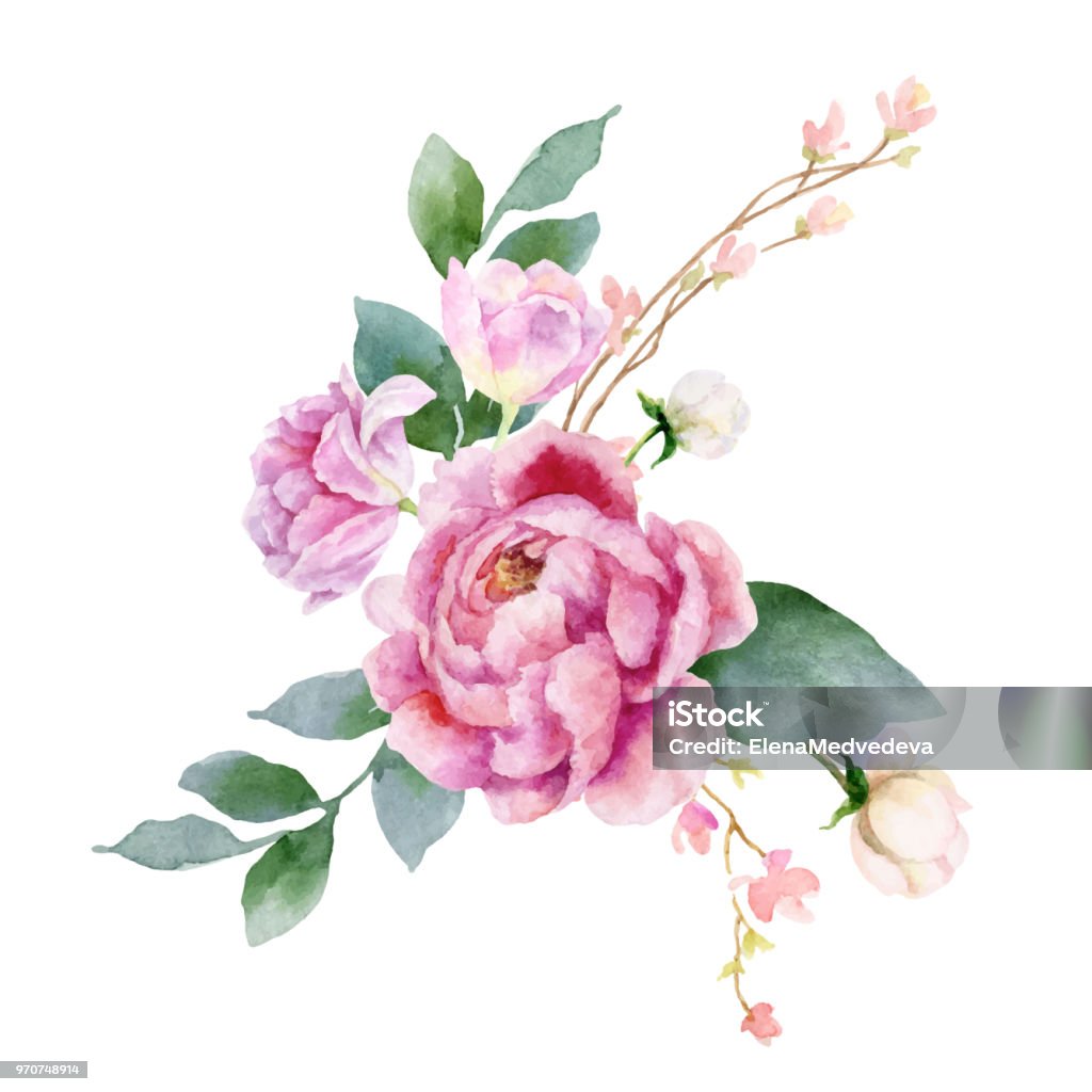 Vector aquarela mão pintura ilustração de peônia flores e folhas verdes. - Vetor de Peônia royalty-free