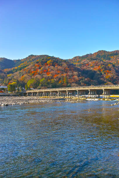 istock Togetsu bridge in the autumn leaves season 970754276