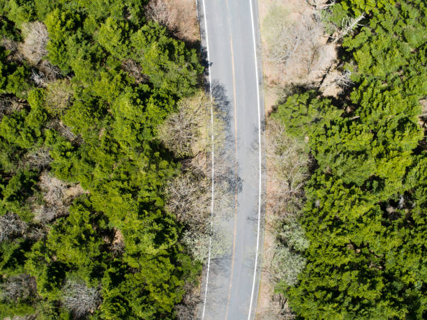 istock Aerial view of the way in forest 970758952