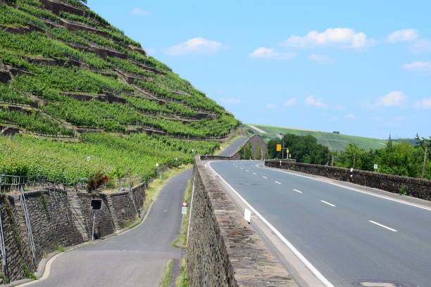 road through terraced fields of winery in Ahr valley