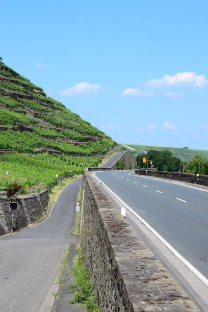 istock road through terraced fields of winery in Ahr valley 970778964
