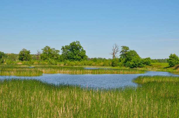 istock Beautiful rural landscape. 970788242