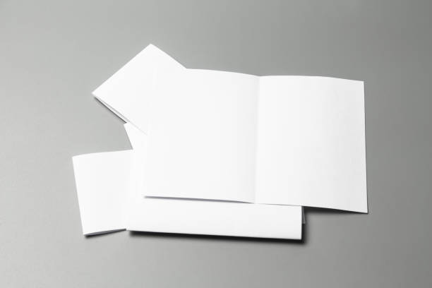 istock Blank portrait changeable background / white paper isolated on gray. identity design, corporate templates, company style, set of booklets, blank white folding paper flyer 970791796