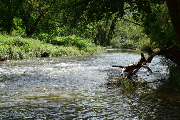 istock little river Ahr in June 970792664