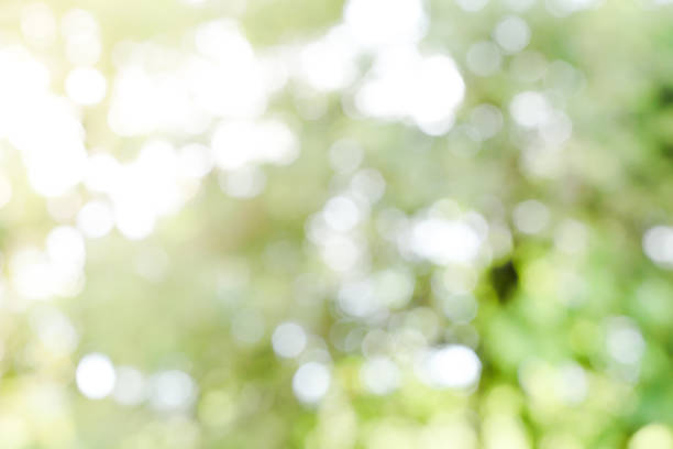 istock Abstract Blur Green Color for Background 970795238