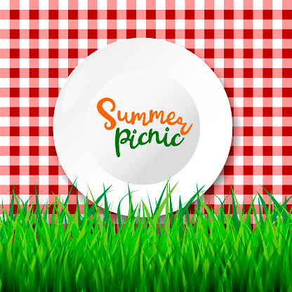 Vector realistic 3d illustration of white empty plate, gingham red plaid on green grass lawn. Spring, summer picnic in park. Banner, poster design template.