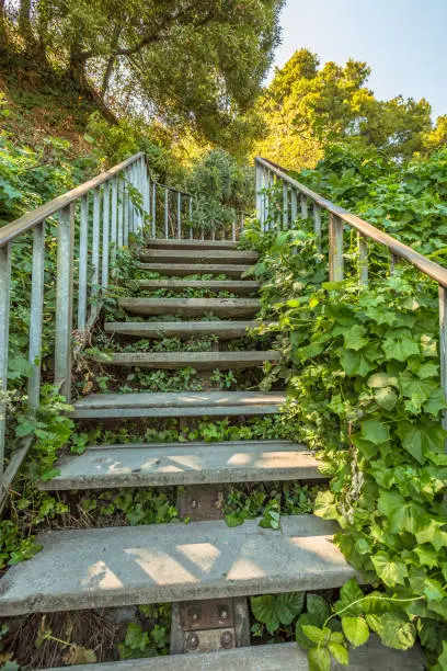 Photo of Filbert Street Stairs