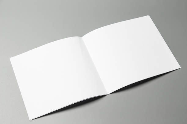 istock Blank portrait changeable background / white paper isolated on gray. identity design, corporate templates, company style, set of booklets, blank white folding paper flyer 970799076