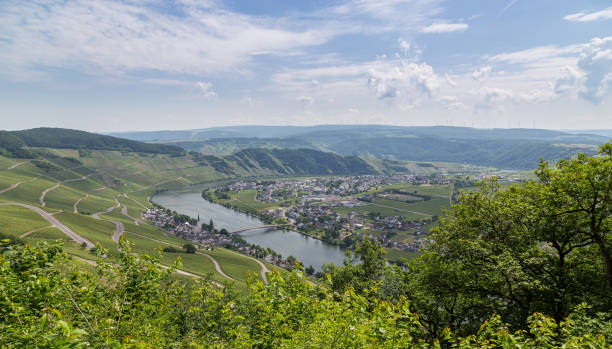 istock Piesport Panorama on the Moselle Germany 970799298