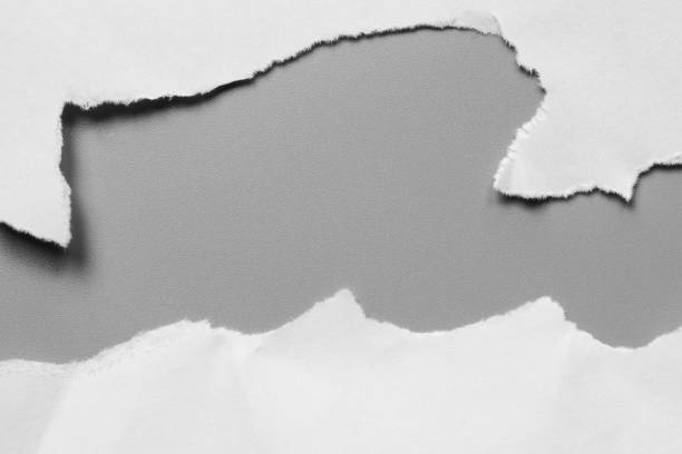 istock white torn paper on gray background. paper rip with copy space. 970802752