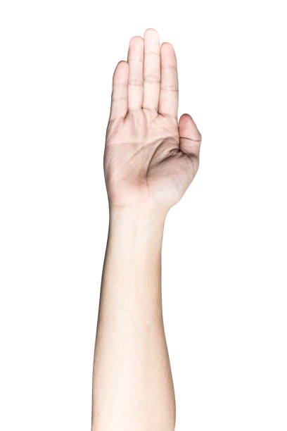 istock beautiful  hand isolated on white background 970803226