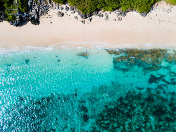 istock Bali - beach from above. Straight drone shot 970810022