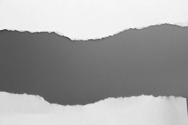 istock white torn paper on gray background. collection paper rip 970812812