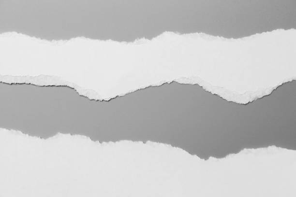 istock white torn paper on gray background. collection paper rip 970816302