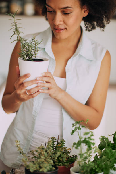 istock Woman gardening. 970819604