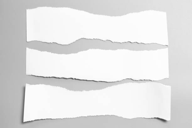 istock white torn paper on gray background. collection paper rip 970819956