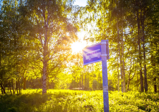 3d rendering of a single blank sign