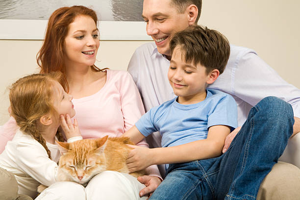 istock A family sitting together with a cat 97082594
