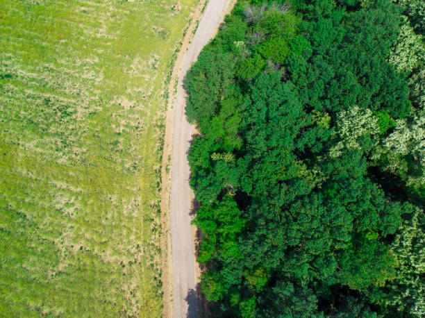 istock aerial view of forest road and meadow 970840436