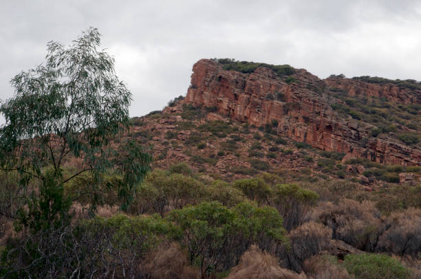 View of a peak in the pound Autumn in rural South Australia around Wilpena Pound syncline stock pictures, royalty-free photos & images