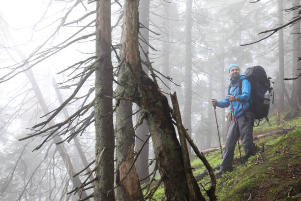 istock Active healthy man hiking in beautiful forest 970844132