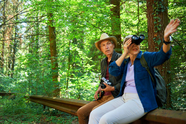 istock active seniors taking a break from hiking in the woods 970856288