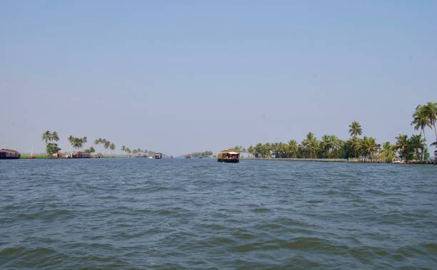 panorama auf den malerischen backwaters im ländlichen kerala (indien) mit tropischen palmen, einem luxuriösen hausboot & eine wasserstraße zu kochi & alleppey an einem sonnigen sommertag mit einem klaren blauen himmel führt - allepey stock-fotos und bilder