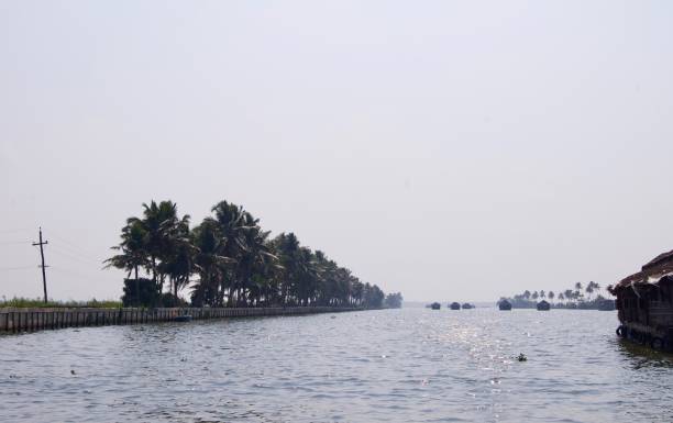 panorama auf den malerischen backwaters im ländlichen kerala (indien) mit tropischen palmen, einem luxuriösen hausboot & eine wasserstraße zu kochi & alleppey an einem sonnigen sommertag mit einem klaren blauen himmel führt - allepey stock-fotos und bilder