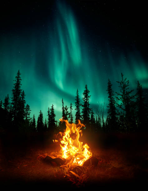 Campfire In The Wilderness With The Northern Lights A warm and cosy campfire in the wilderness with forest trees silhouetted in the background and the stars and Northern Lights (Aurora Borealis) lighting up the night sky. Photo composite. campfire stock pictures, royalty-free photos & images