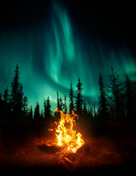 campfire in the wilderness with the northern lights - forest tree nature wilderness area imagens e fotografias de stock