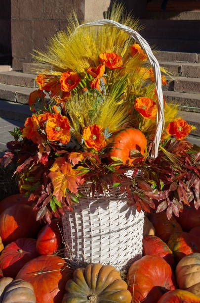 istock Basket with pumpkins and flowers 970864274