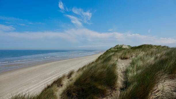 istock Dune, landscape at the North Sea in Netherlands 970877048