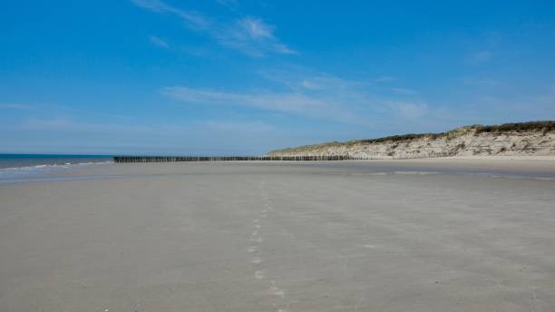 istock Dune, landscape at the North Sea in Netherlands 970879440