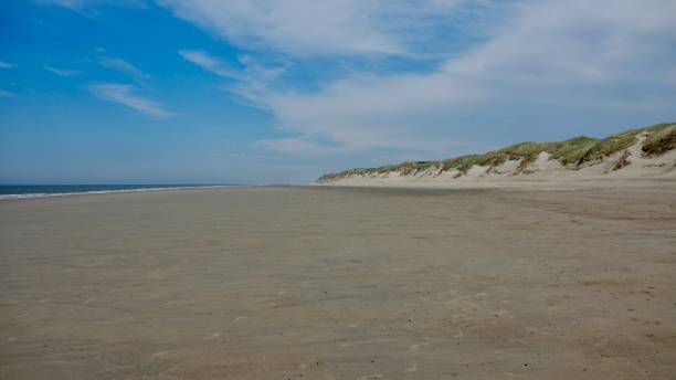 istock Dune, landscape at the North Sea in Netherlands 970888750