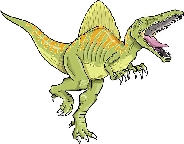 Spinosaurus Dinosaur vector art illustration