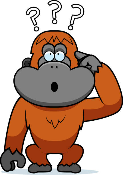 Monkey Question Face 80+ Monkey With Question Marks Stock Photos, Pictures & Royalty-Free ...