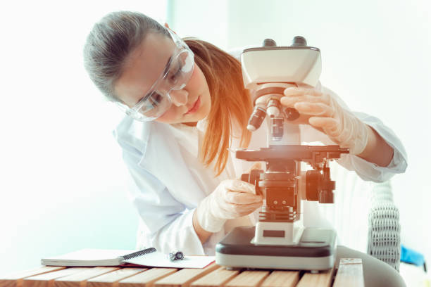 istock Research scientist looking bacteria through a microscope in laboratory room, Science, chemistry, technology, biology 970903836