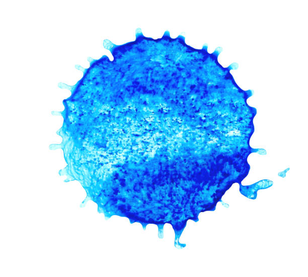 istock Abstract blue watercolor blob. Watercolor blue splash 970916722