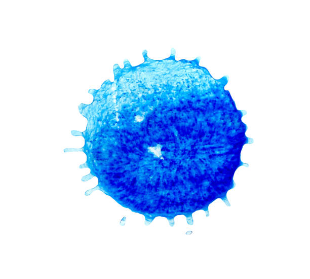 istock Abstract blue watercolor splash background. Blue  paint  spot. 970916818