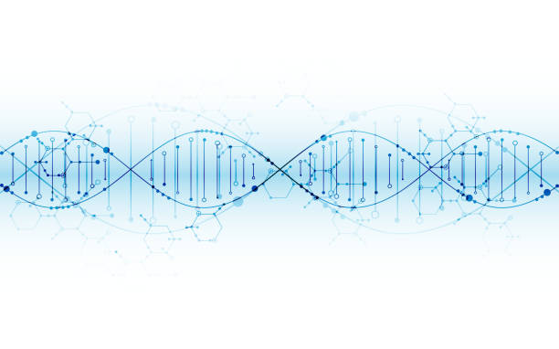 Science template, DNA molecules background. Science template, DNA molecules background. Vector illustration. human genome code stock illustrations